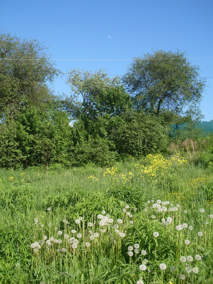 SDC11314.JPG
