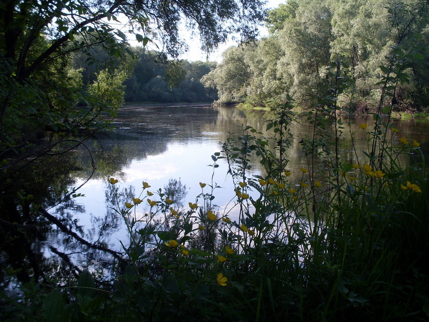 SDC11324.JPG