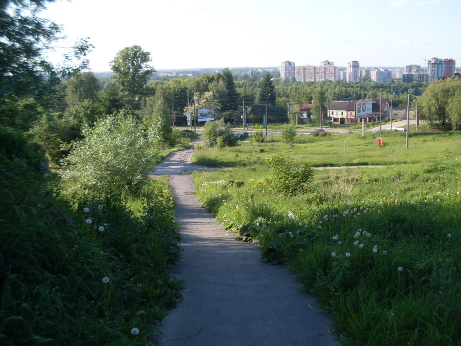 SDC11353.JPG