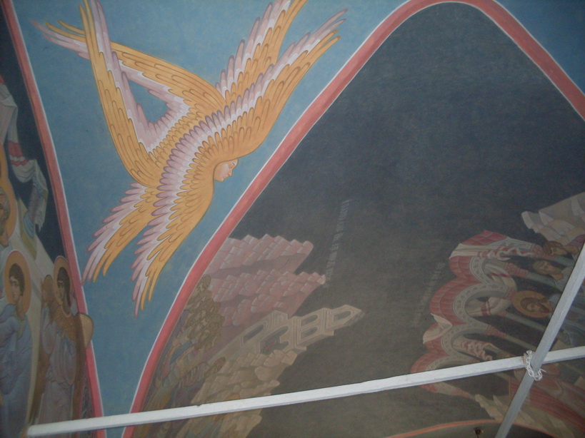 SDC11395.JPG