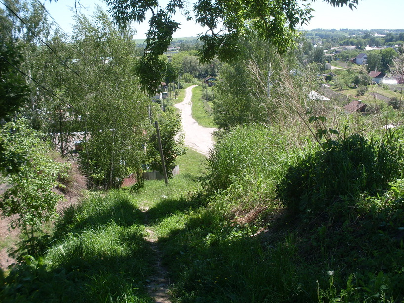 SDC11456.JPG