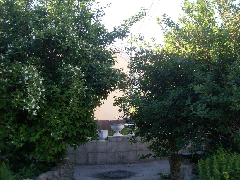 SDC11583.JPG