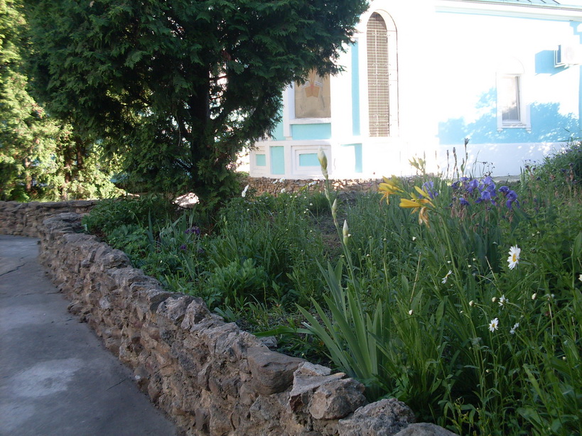SDC11584.JPG