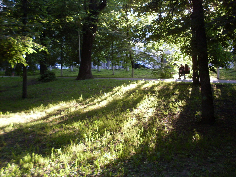 SDC11599.JPG