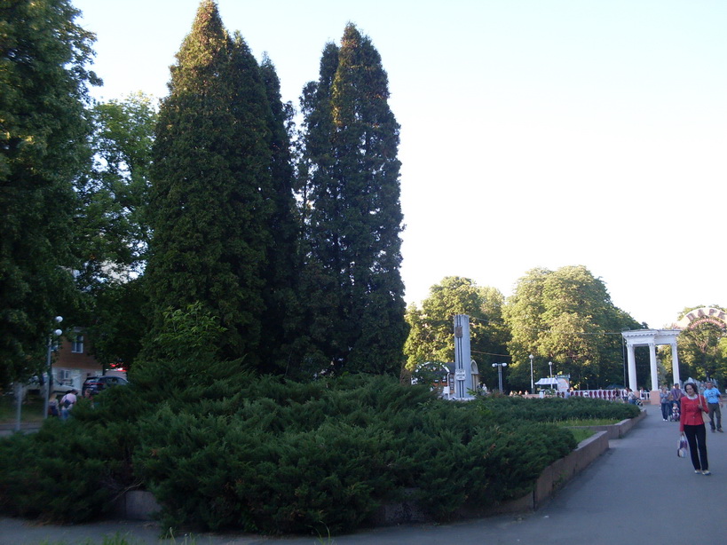 SDC11616.JPG