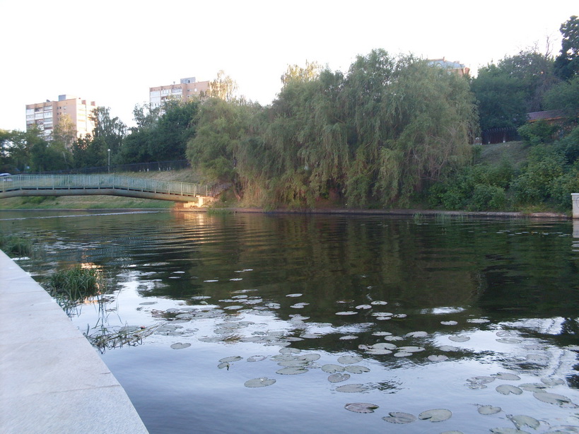 SDC11682.JPG