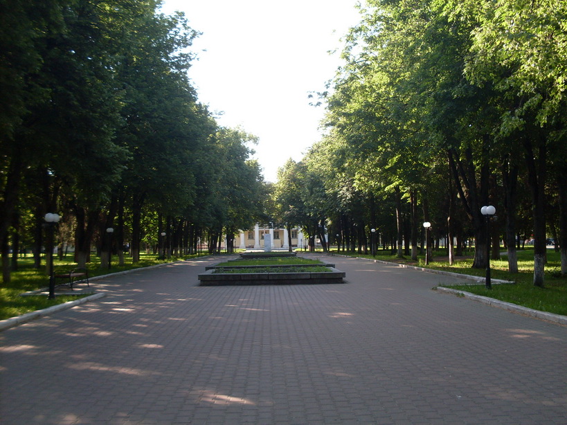 SDC11719.JPG