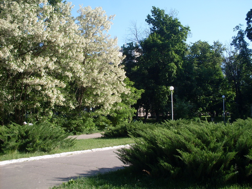 SDC11731.JPG