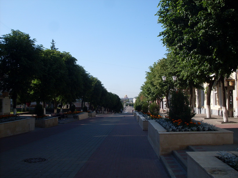 SDC11749.JPG