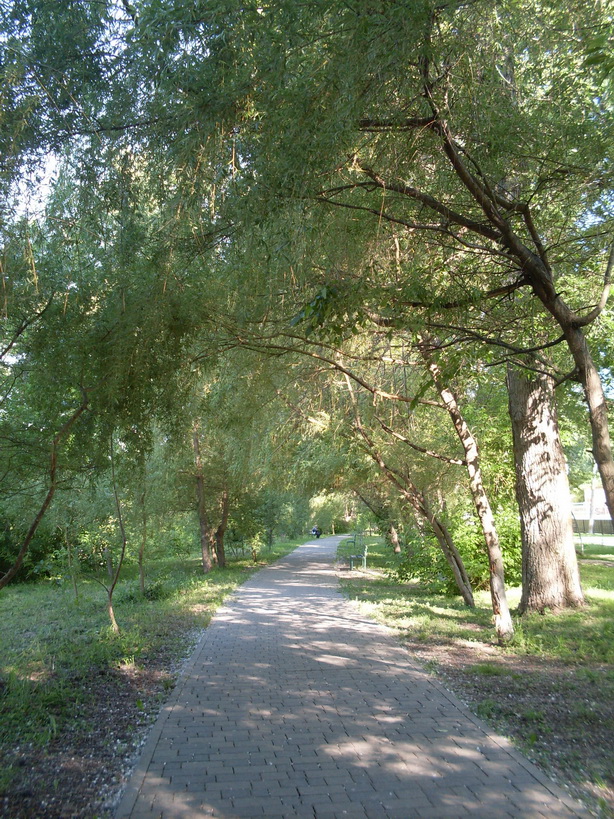 SDC11776.JPG