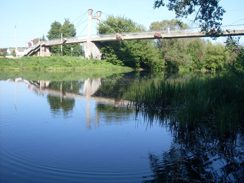 SDC11785.JPG