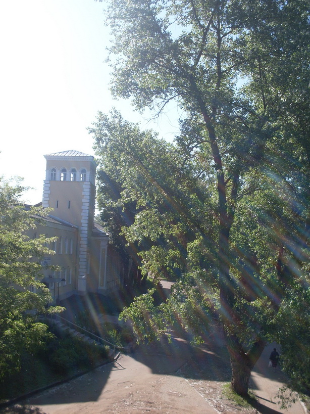 SDC11795.JPG