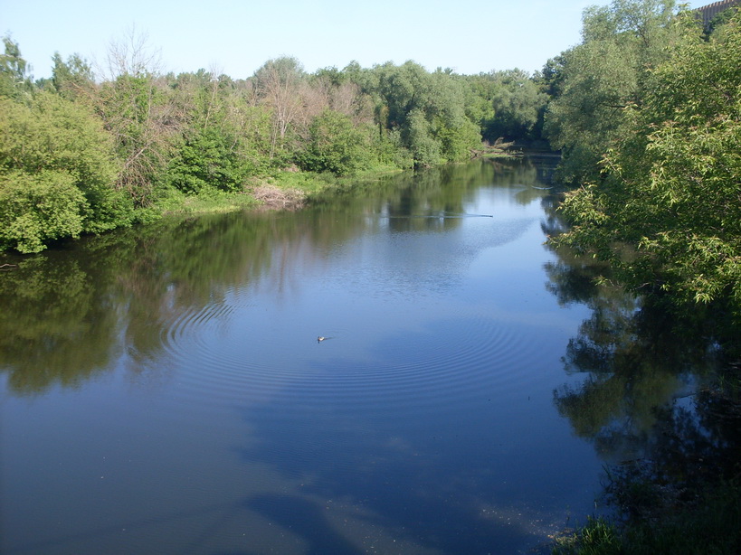 SDC11796.JPG