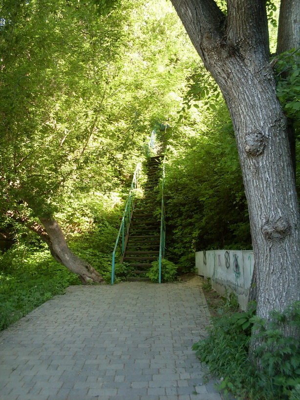 SDC11799.JPG