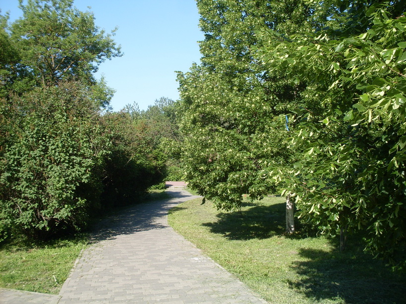 SDC11816.JPG