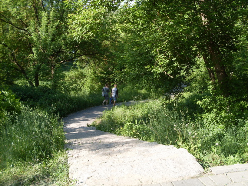 SDC11817.JPG