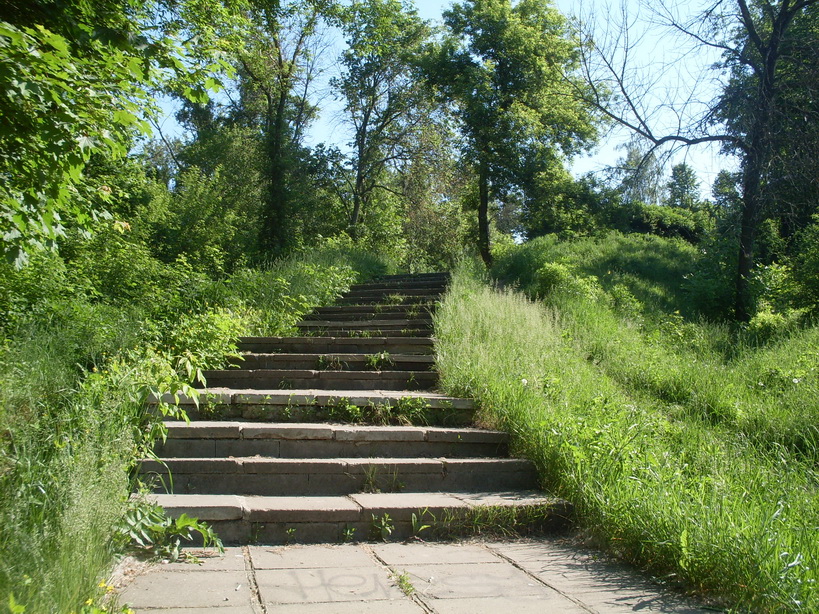 SDC11819.JPG