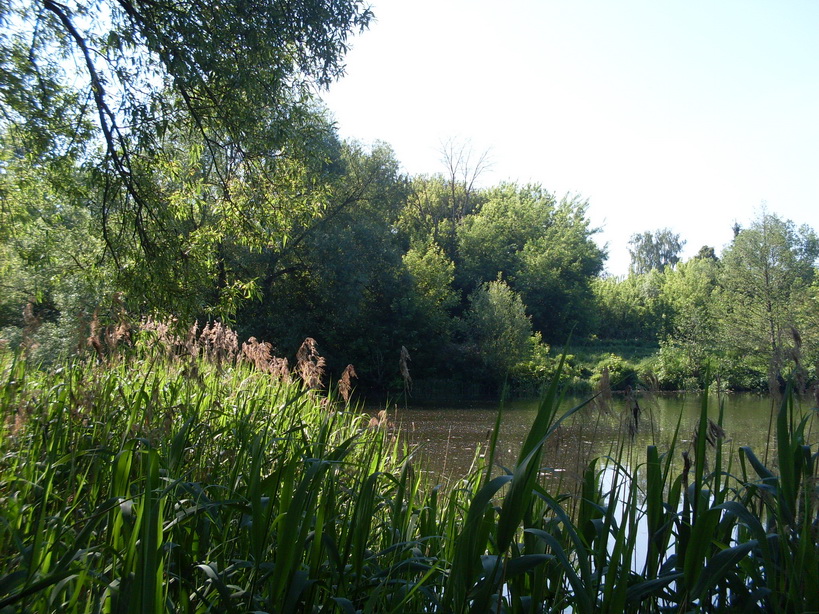 SDC11821.JPG