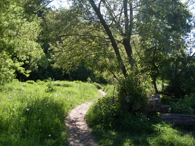 SDC11827.JPG