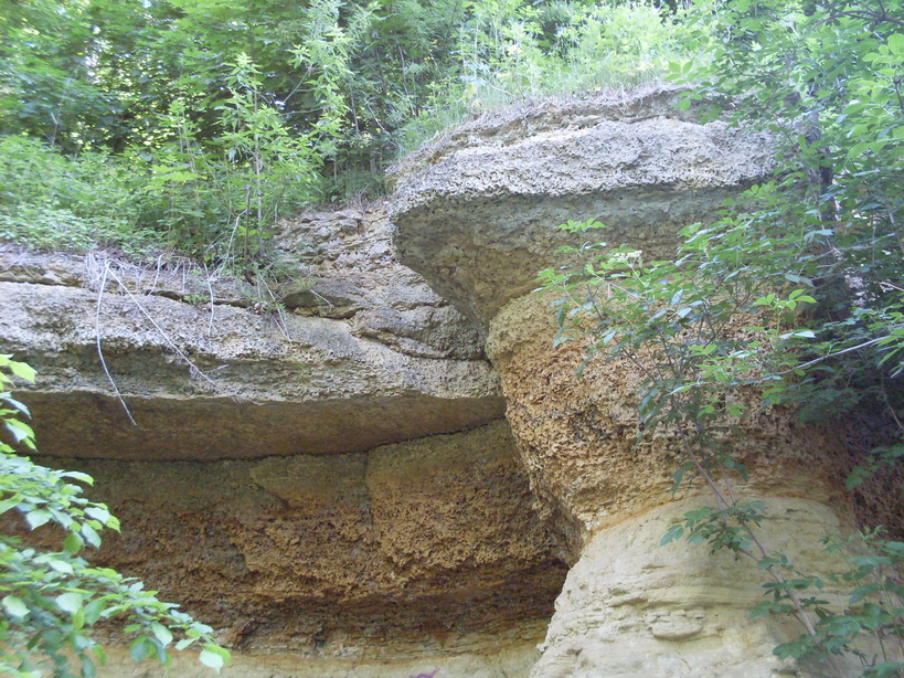 SDC11831.JPG