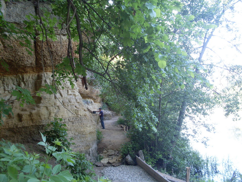SDC11834.JPG