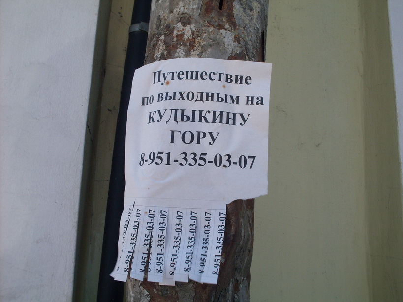 SDC11864.JPG