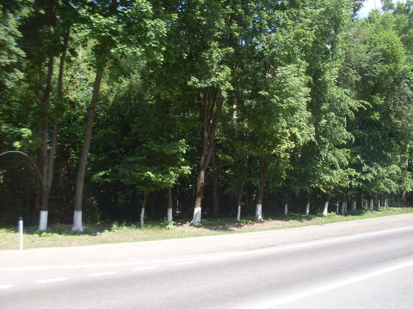 SDC11877.JPG