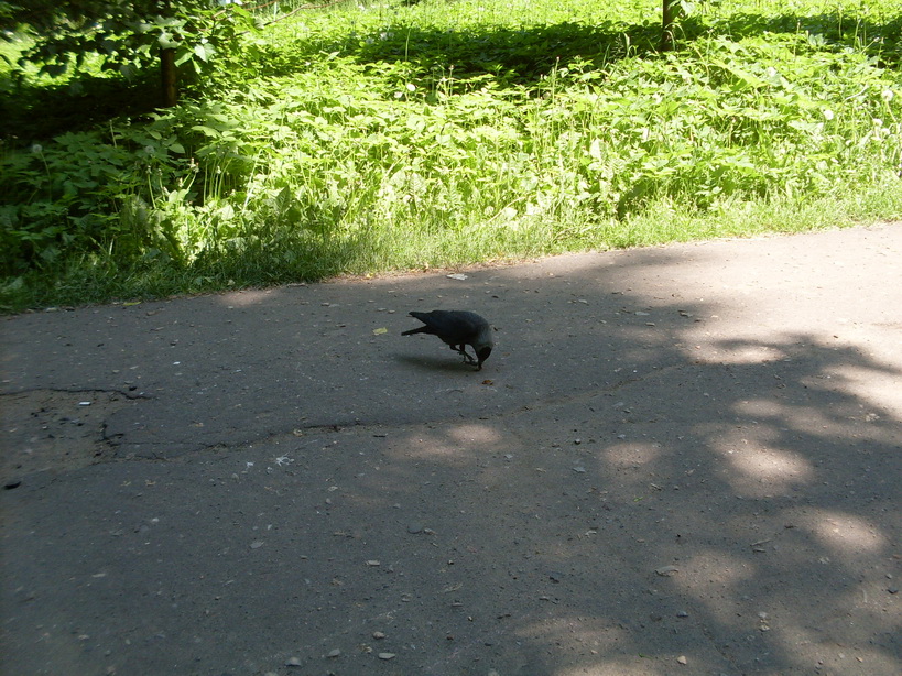 SDC11910.JPG