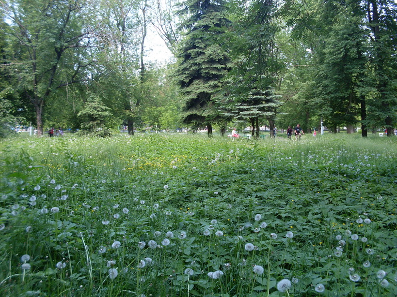 SDC11912.JPG