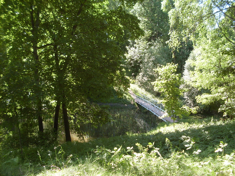 SDC11994.JPG