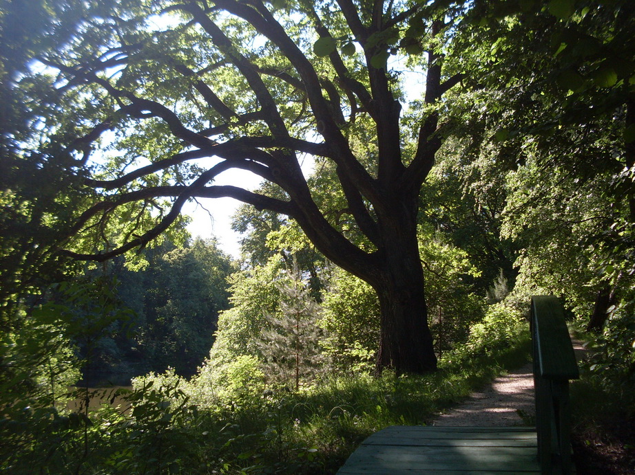 SDC12020.JPG