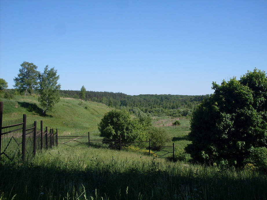 SDC12023.JPG