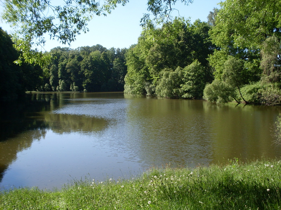 SDC12035.JPG