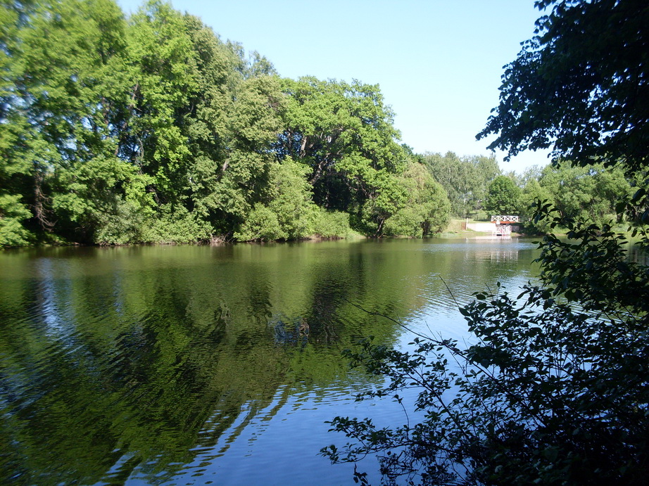 SDC12040.JPG