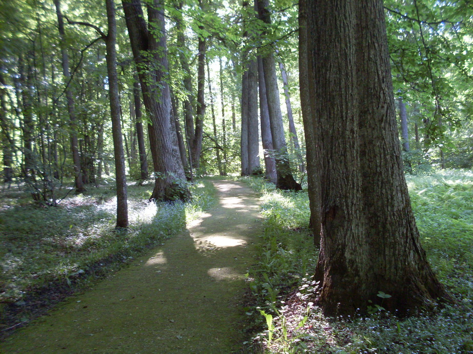 SDC12053.JPG