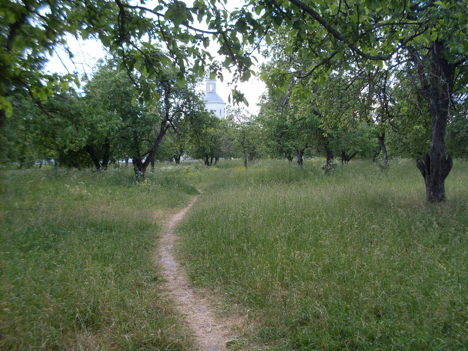 SDC12077.JPG