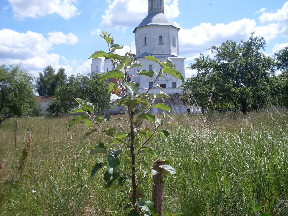 SDC12083.JPG