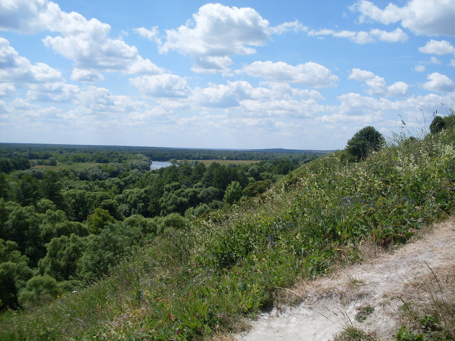 SDC12102.JPG