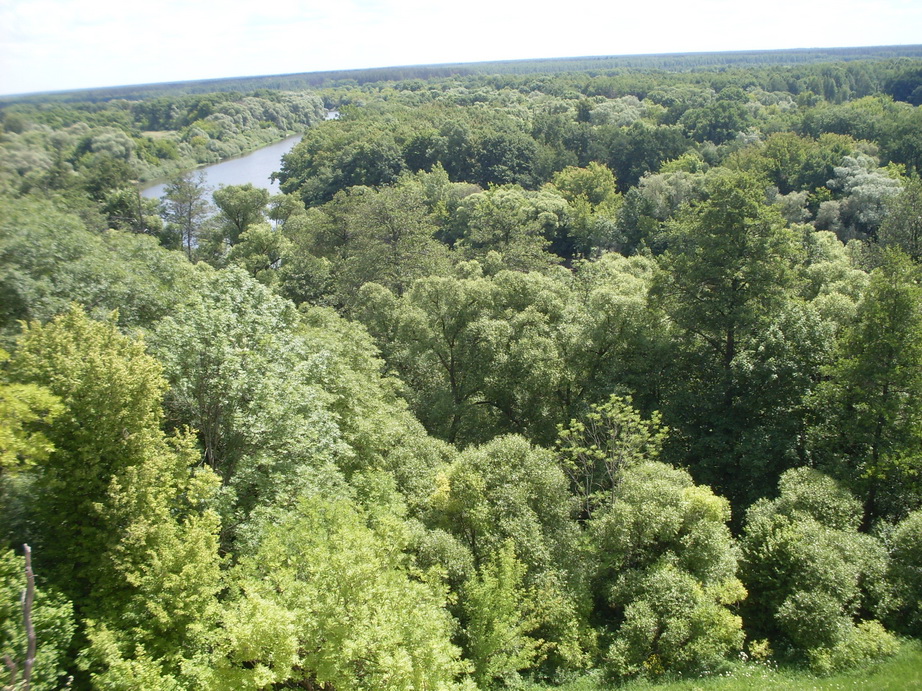 SDC12107.JPG