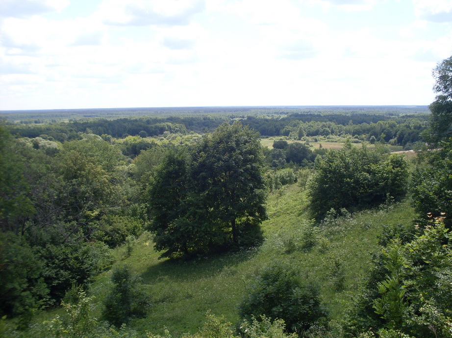 SDC12110.JPG