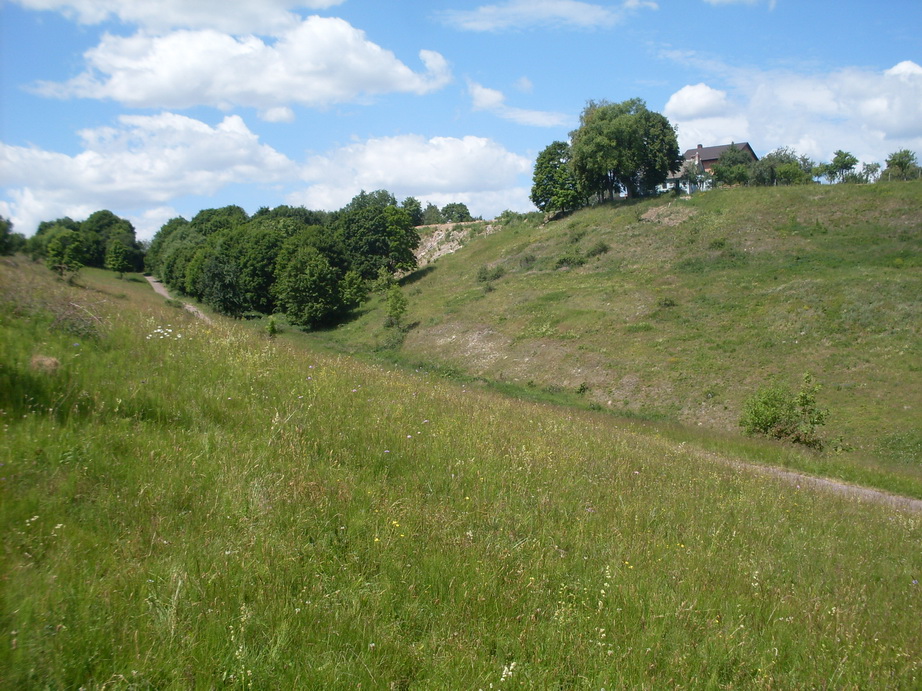 SDC12124.JPG