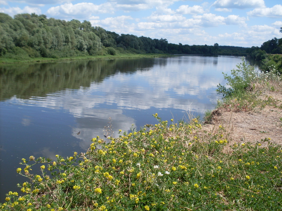 SDC12128.JPG