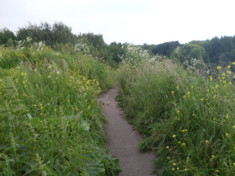 SDC12237.JPG