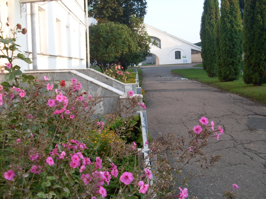SDC12641.JPG