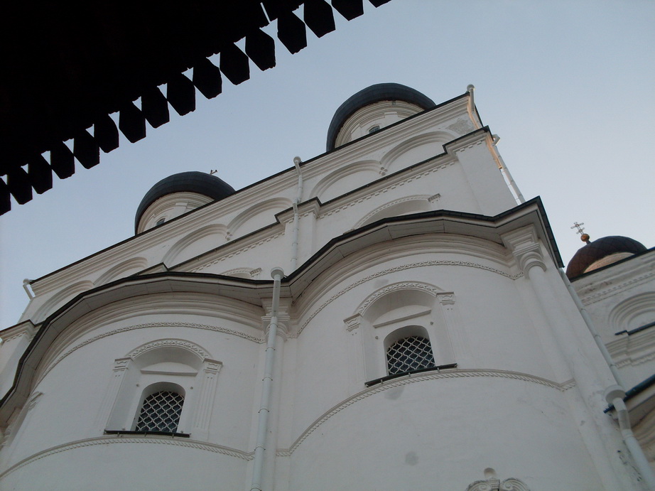 SDC12655.JPG