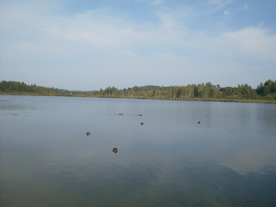 SDC12828.JPG