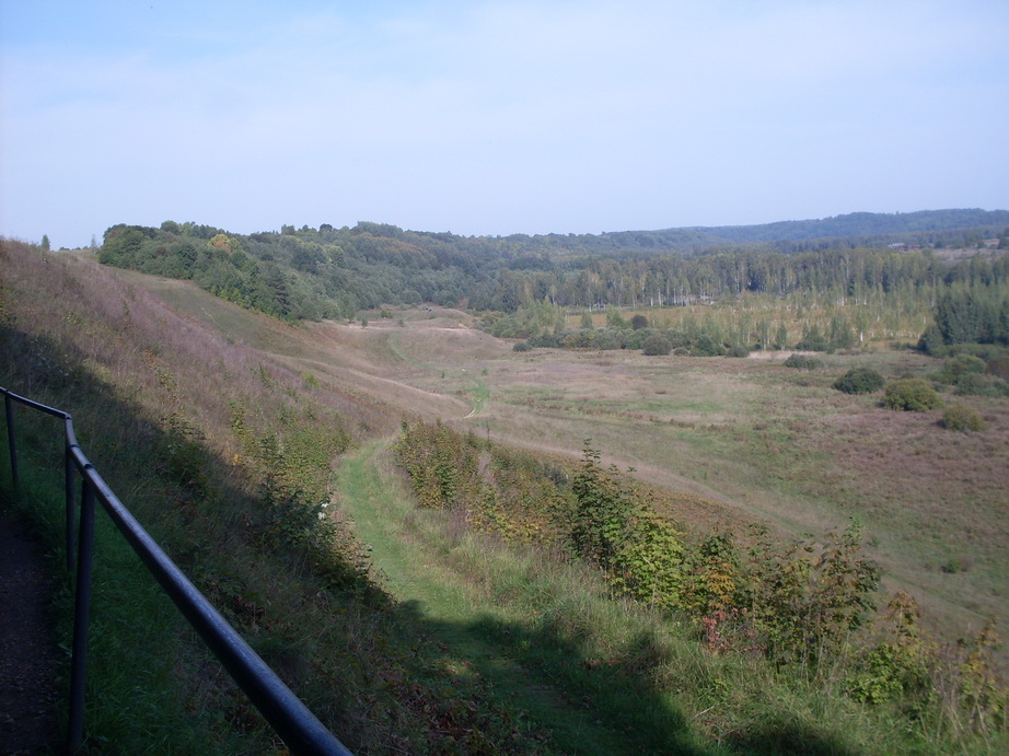 SDC12848.JPG