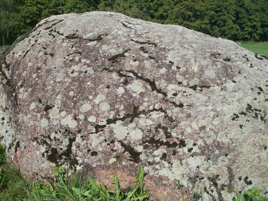 SDC12916.JPG