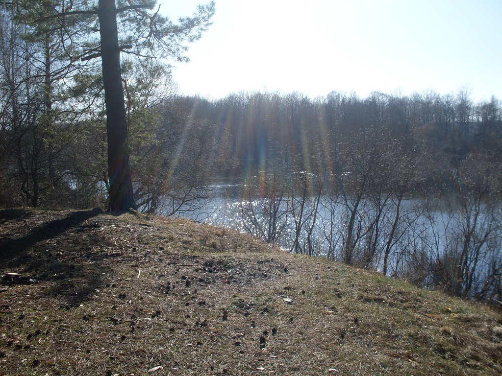SDC13693.JPG