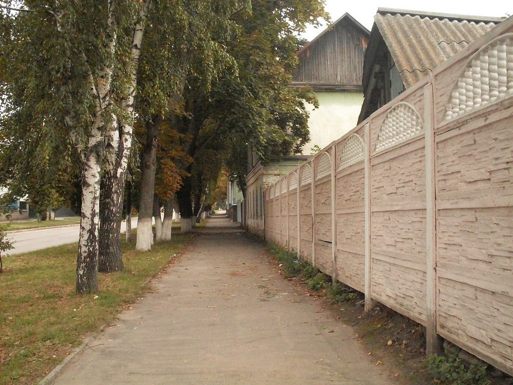 SDC19261.JPG